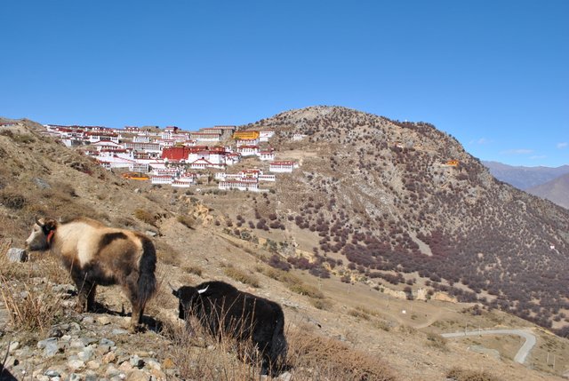 Ganden Samye trek