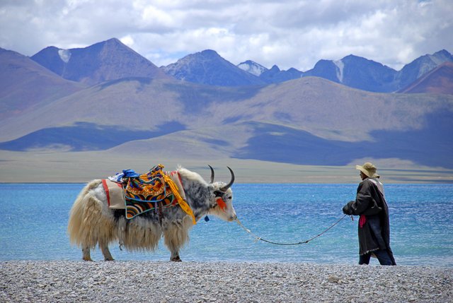 Lhasa Namtso Lake and ebc tour