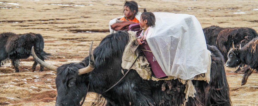 Ganden Samye Trek