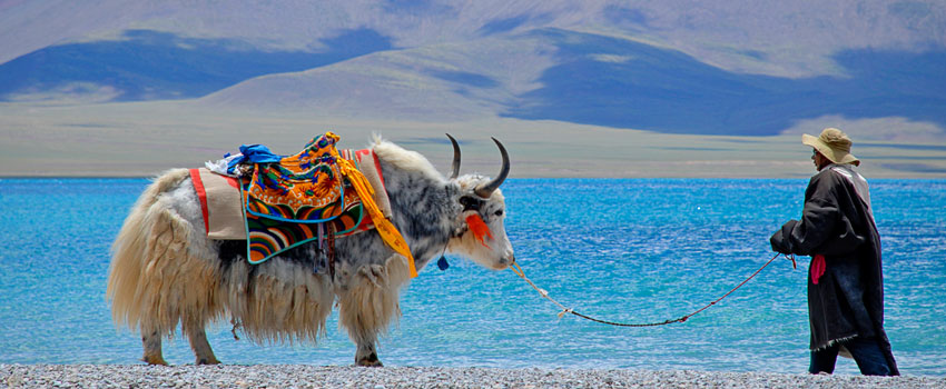 Lhasa Namtso Lake and EBC Tour